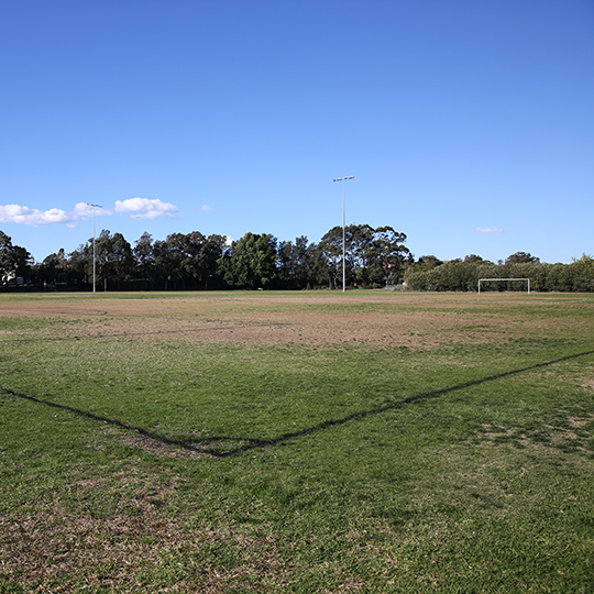 Soccer pitch